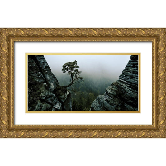 Perspective Image