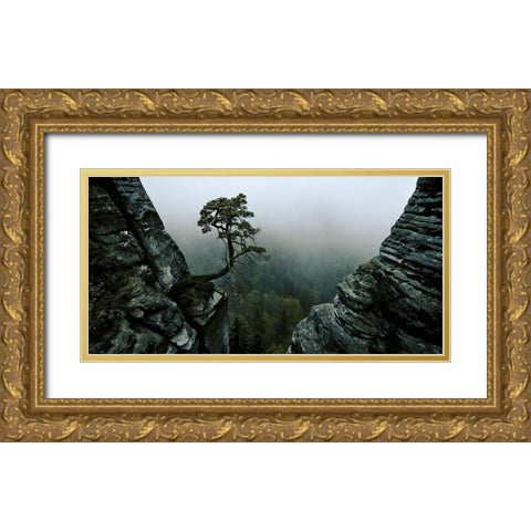 L Gold Ornate Wood Framed Art Print with Double Matting by Schott, Andreas