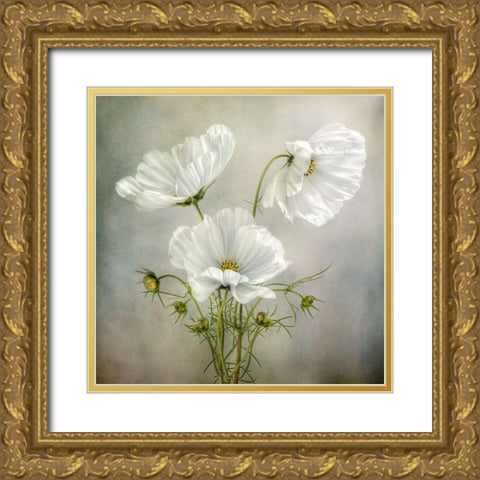 Cosmos Charm Gold Ornate Wood Framed Art Print with Double Matting by Disher, Mandy