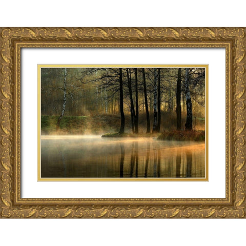 Silent light. Gold Ornate Wood Framed Art Print with Double Matting by Jankowska, Agnieszka