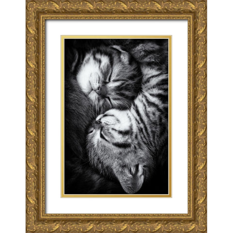 Yin and Yang Gold Ornate Wood Framed Art Print with Double Matting by Jancova, Andrea