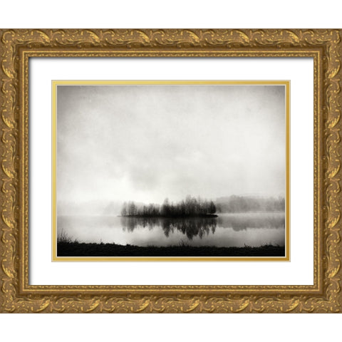 isle of silence Gold Ornate Wood Framed Art Print with Double Matting by Bogner, Franz