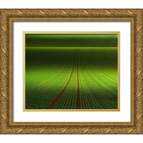 November Green Gold Ornate Wood Framed Art Print with Double Matting by Schumacher, Nicolas