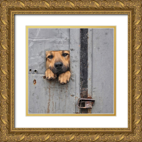 Benjis window II Gold Ornate Wood Framed Art Print with Double Matting by Knartist