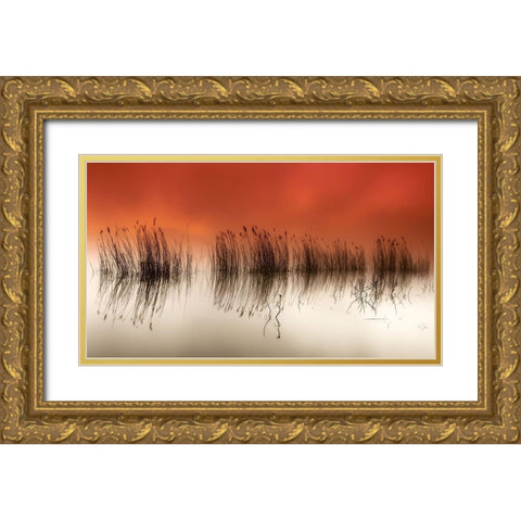 serenity Gold Ornate Wood Framed Art Print with Double Matting by David, Rui