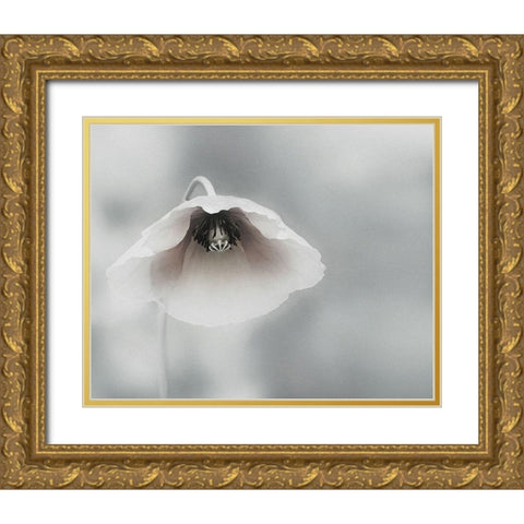 Ephemeral Beauty Gold Ornate Wood Framed Art Print with Double Matting by Flour, Piet