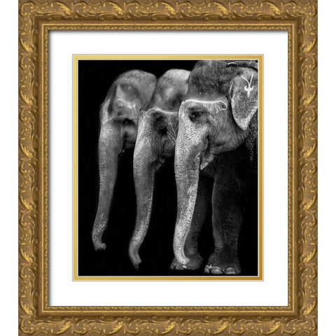 Natures great masterpiece an elephant; the only harmless great thing Gold Ornate Wood Framed Art Print with Double Matting by Depaepe, Yvette