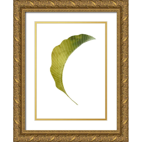Banana Leaf Gold Ornate Wood Framed Art Print with Double Matting by Artographie Studio