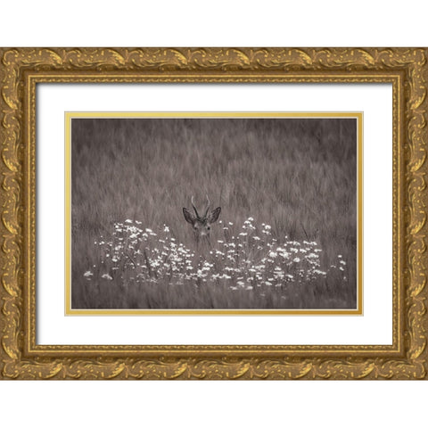 Hidden behind flowers Gold Ornate Wood Framed Art Print with Double Matting by Wallberg, Allan