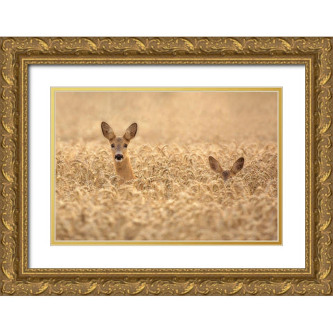 Mother with child Gold Ornate Wood Framed Art Print with Double Matting by Wallberg, Allan