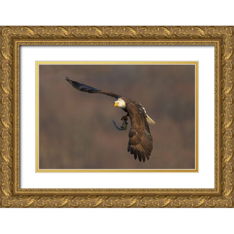 The Show Time Gold Ornate Wood Framed Art Print with Double Matting by Hua, David