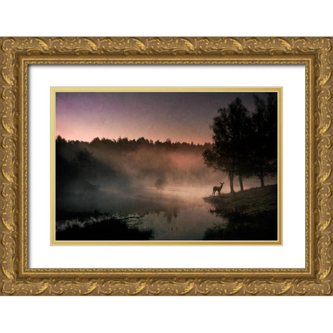Steamy water Gold Ornate Wood Framed Art Print with Double Matting by Schuurmans, Wim