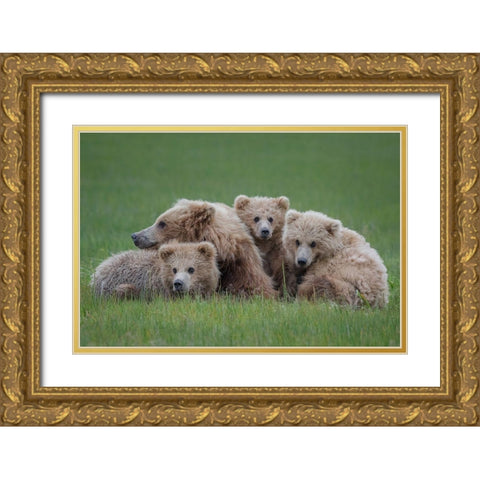 Bear Huddle Gold Ornate Wood Framed Art Print with Double Matting by Doyle, Renee