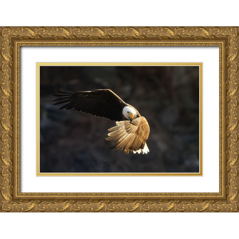 Whats going on Gold Ornate Wood Framed Art Print with Double Matting by Huang, Tao