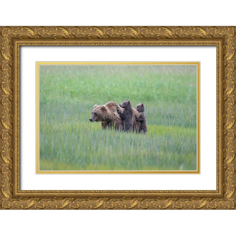 Vigilance #2 Gold Ornate Wood Framed Art Print with Double Matting by Sink, Jeffrey C