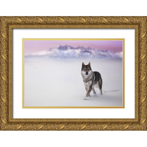 Yellow Eyes Gold Ornate Wood Framed Art Print with Double Matting by Hricko, Stanislav