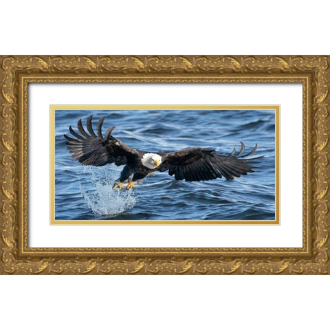 King of Mississippi Gold Ornate Wood Framed Art Print with Double Matting by Fan, John