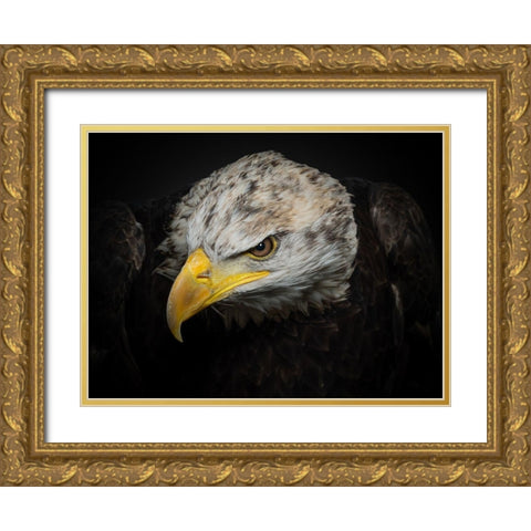 The American Eagle Gold Ornate Wood Framed Art Print with Double Matting by Worseling, Natascha