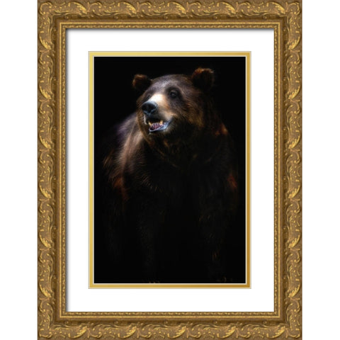 Brown bear portrait Gold Ornate Wood Framed Art Print with Double Matting by Pascual Buye, Santiago