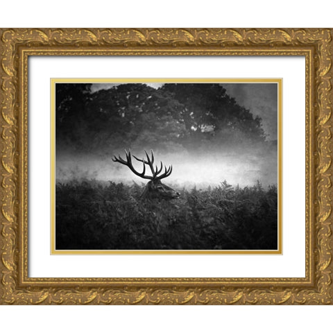 Prince Gold Ornate Wood Framed Art Print with Double Matting by Fabrowski, Robert