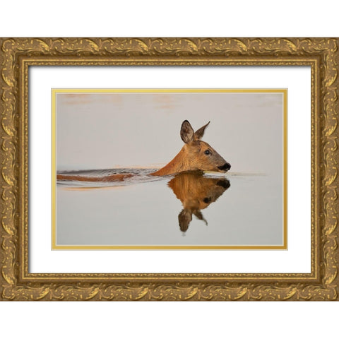 Practicing her delightful morning swim Gold Ornate Wood Framed Art Print with Double Matting by Feldtkeller, Andreas