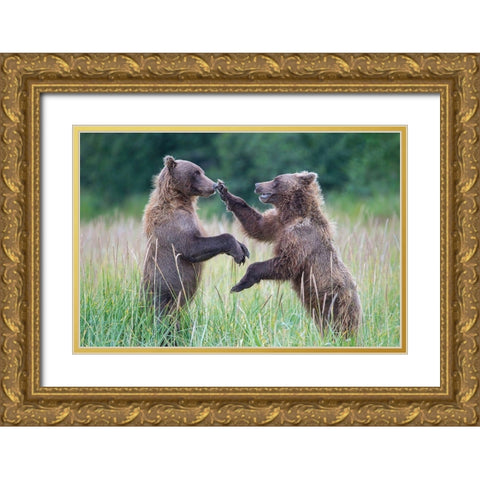 Hold Still Gold Ornate Wood Framed Art Print with Double Matting by Hao Jiang,
