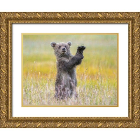 A little conductor Gold Ornate Wood Framed Art Print with Double Matting by Hao Jiang,