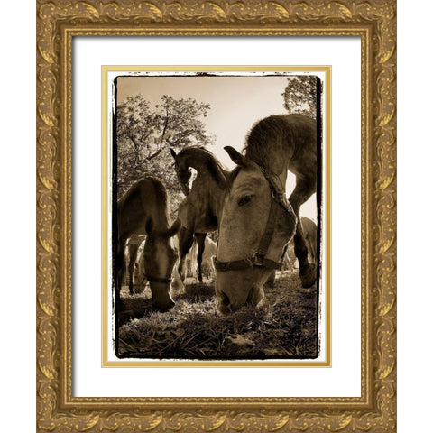 Chow Time Gold Ornate Wood Framed Art Print with Double Matting by Malovrh, Milan