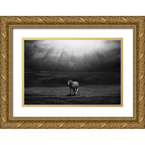 Morning Appearance Gold Ornate Wood Framed Art Print with Double Matting by Svoboda MQEP, Peter