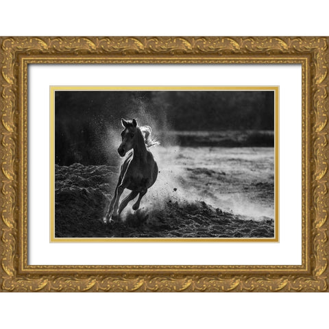 Take off Gold Ornate Wood Framed Art Print with Double Matting by Alnaser, Mohammed