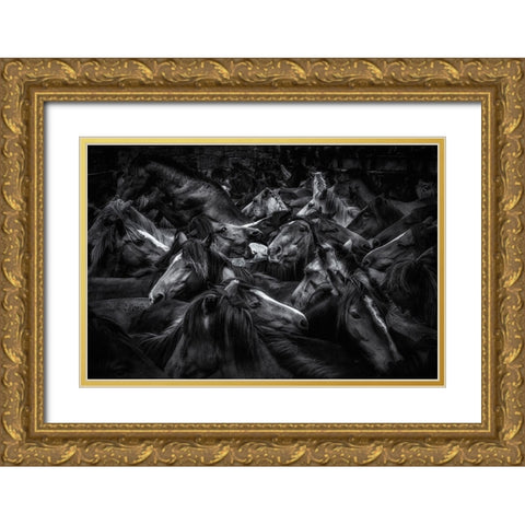 Acorralados Gold Ornate Wood Framed Art Print with Double Matting by Maseda Varela, Alfonso