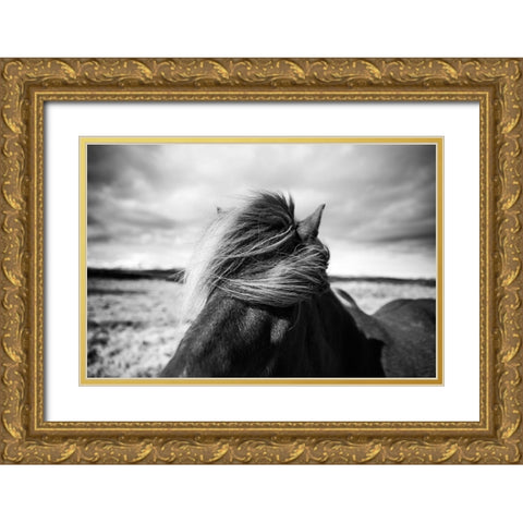 Iceland Gold Ornate Wood Framed Art Print with Double Matting by Liesbeth