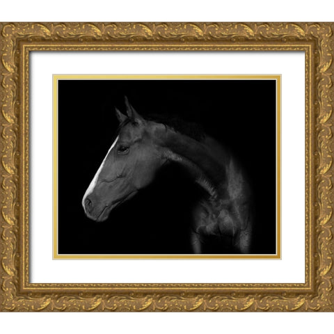 My horse Gold Ornate Wood Framed Art Print with Double Matting by Kogel, Wieteke de