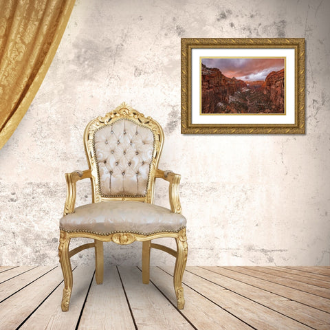 Zion NP Overlook Sunset Gold Ornate Wood Framed Art Print with Double Matting by Xie, April