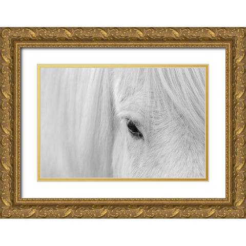 Whisper of Iceland Gold Ornate Wood Framed Art Print with Double Matting by Fan, John