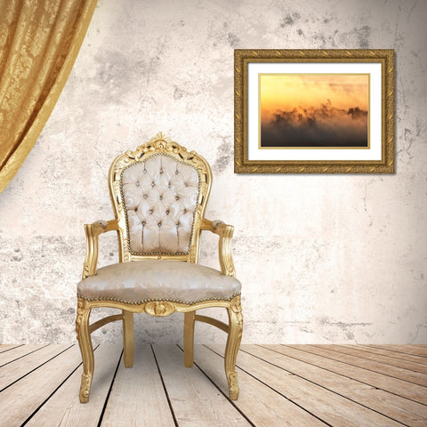 YAplkAp Horses Gold Ornate Wood Framed Art Print with Double Matting by Sozen, Ozden