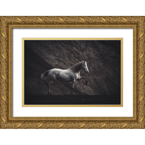 Solitaire Gold Ornate Wood Framed Art Print with Double Matting by Willers, Heike