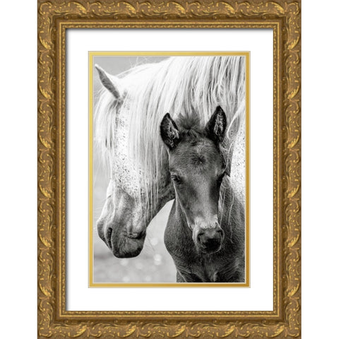 The Foal Gold Ornate Wood Framed Art Print with Double Matting by Parker, Jacky