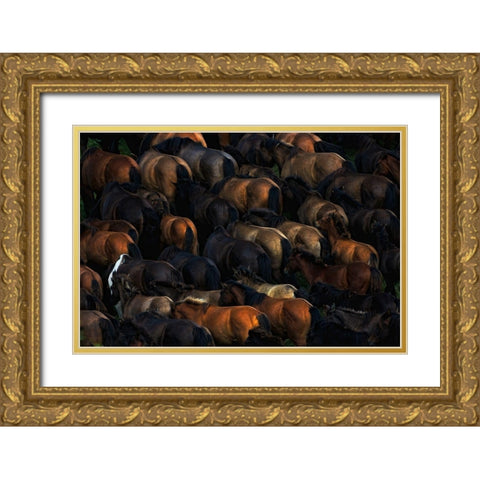 Wild horses Gold Ornate Wood Framed Art Print with Double Matting by Szuszkiewicz, Konrad