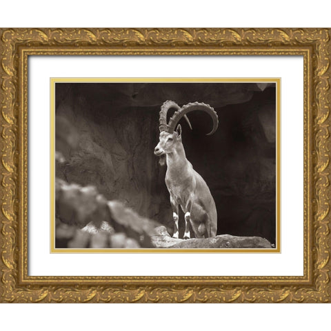 Nubian Ibex Sepia Gold Ornate Wood Framed Art Print with Double Matting by Fitzharris, Tim