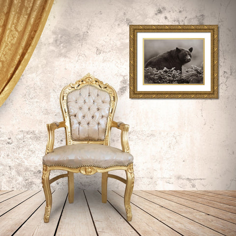 Black bear in Huckleberry Sepia Gold Ornate Wood Framed Art Print with Double Matting by Fitzharris, Tim