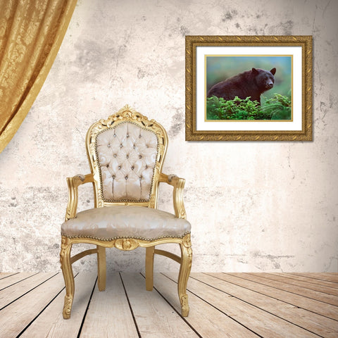Black bear in Huckleberry Gold Ornate Wood Framed Art Print with Double Matting by Fitzharris, Tim