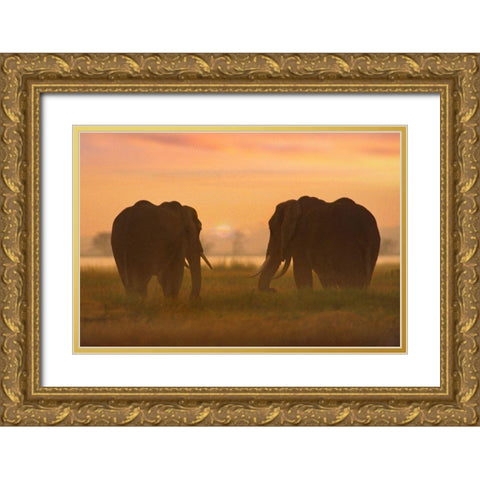 African Elephants at sunrise-Amboseli National Reserve-Kenya Gold Ornate Wood Framed Art Print with Double Matting by Fitzharris, Tim