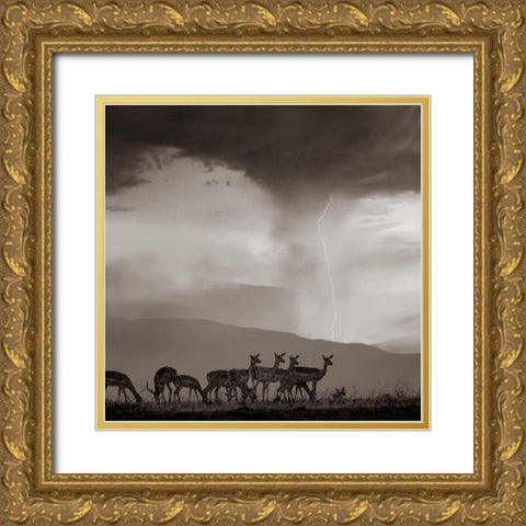 Impala and Lightning  Sepia Gold Ornate Wood Framed Art Print with Double Matting by Fitzharris, Tim
