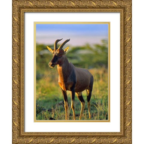 Kongoni-Kenya Gold Ornate Wood Framed Art Print with Double Matting by Fitzharris, Tim