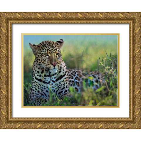 Leopard-Kenya Gold Ornate Wood Framed Art Print with Double Matting by Fitzharris, Tim