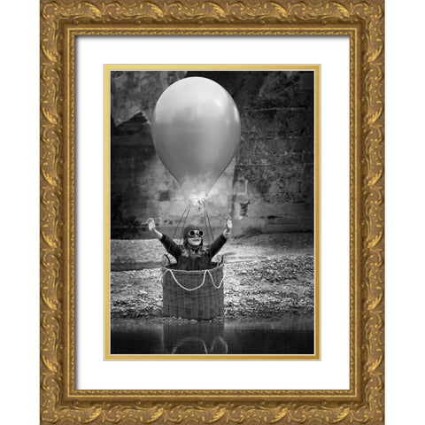 Fly me to the moon Gold Ornate Wood Framed Art Print with Double Matting by Birkhofer, Bruno