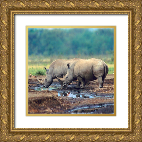 White Rhinoceros-Kenya Gold Ornate Wood Framed Art Print with Double Matting by Fitzharris, Tim