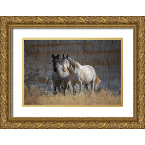 Wild horses Badlands Natl Park SD Gold Ornate Wood Framed Art Print with Double Matting by Fitzharris, Tim