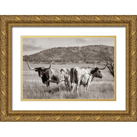 Longhorn cattle Sepia Gold Ornate Wood Framed Art Print with Double Matting by Fitzharris, Tim